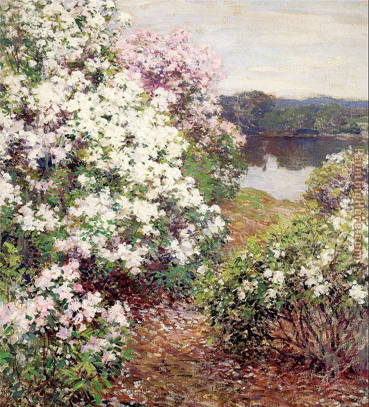 Metcalf Mountain Laurel painting - Unknown Artist Metcalf Mountain Laurel art painting